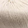 Cascade 220 Superwash -228 - Frosted Almond 886904041000 | Yarn at Michigan Fine Yarns