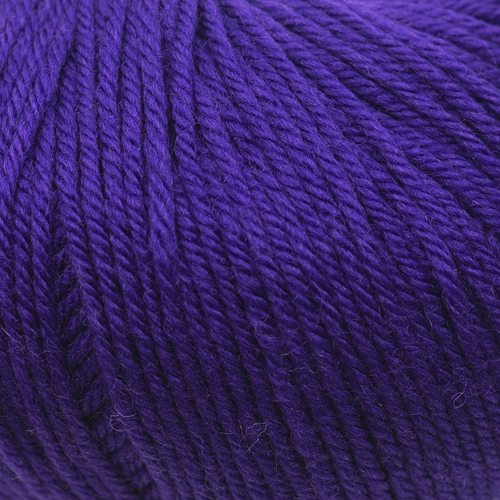 Cascade 220 Superwash -257 - Violet Indigo 886904051207 | Yarn at Michigan Fine Yarns