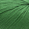 Cascade 220 Superwash -352 - Verdant Green 886904016480 | Yarn at Michigan Fine Yarns
