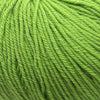 Cascade 220 Superwash -802 - Green Apple 886904000472 | Yarn at Michigan Fine Yarns