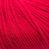 Cascade 220 Superwash -809 - Really Red 886904000533 | Yarn at Michigan Fine Yarns