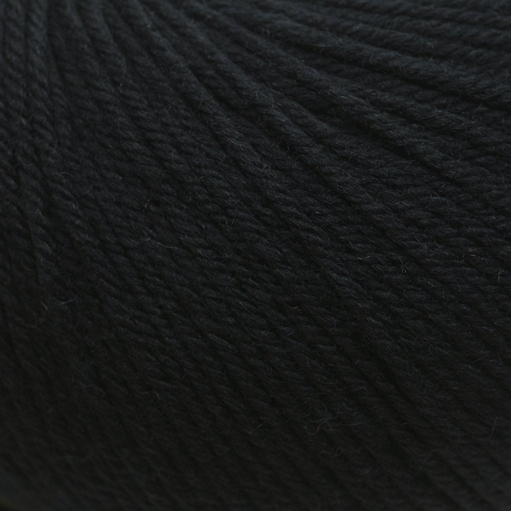 Cascade 220 Superwash -815 - Black 886904000595 | Yarn at Michigan Fine Yarns