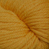 Cascade 220 Superwash Aran -886904029534 | Yarn at Michigan Fine Yarns