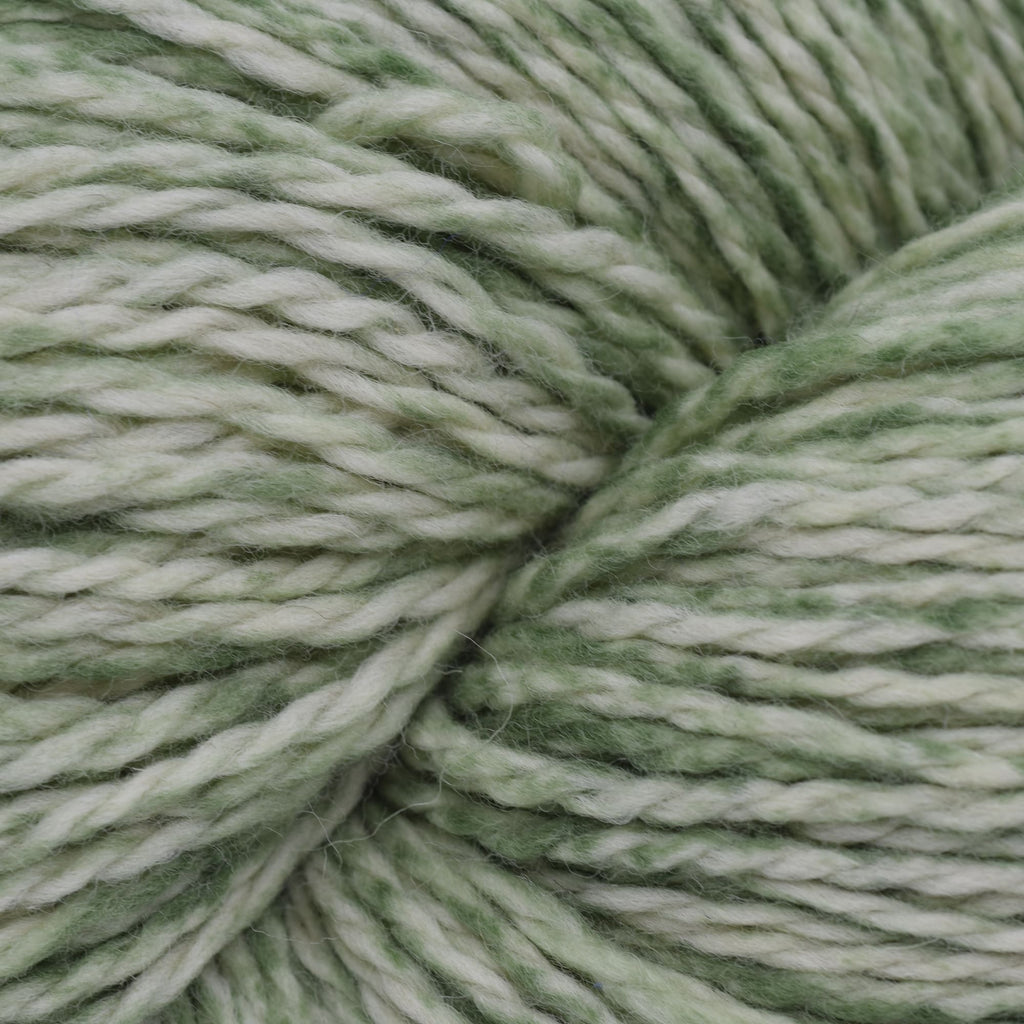 Cascade Eco+ Peruvian Tone - | Yarn at Michigan Fine Yarns