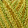 Cascade Fixation Spray Dyed -886904042250 | Yarn at Michigan Fine Yarns