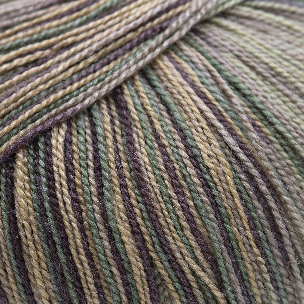 Cascade Yarns Forest Hills Multis Yarn - Michigan Fine Yarns Cascade Yarns Forest Hills Multis Yarn - Michigan Fine Yarns