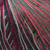 Cascade Forest Hills Multis -108 - Queen of Hearts 886904036563 | Yarn at Michigan Fine Yarns