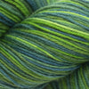 Cascade Heritage Paints (Discontinued Colors) -9770 - Celtic 886904015292 | Yarn at Michigan Fine Yarns