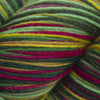 Cascade Heritage Paints (Discontinued Colors) -9807 - Root Veggies 886904027813 | Yarn at Michigan Fine Yarns