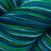 Cascade Heritage Paints (Discontinued Colors) -9809 - Teal Mix 886904027837 | Yarn at Michigan Fine Yarns