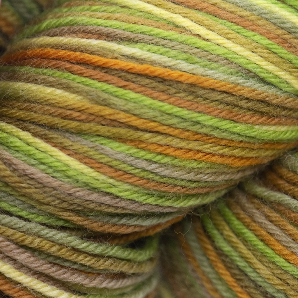 Cascade Heritage Paints (Discontinued Colors) -9923 - Autumn 886904050217 | Yarn at Michigan Fine Yarns