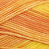 Cascade Longwood Sport Stripe -503 - Oranges 886904040508 | Yarn at Michigan Fine Yarns