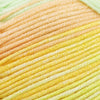 Cascade Longwood Sport Stripe -510 - Citrus 886904040577 | Yarn at Michigan Fine Yarns