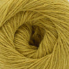 Cascade ReFine -15 - Golden 886904015100 | Yarn at Michigan Fine Yarns