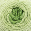 Cascade Whirligig -1 - Greens 886904057049 | Yarn at Michigan Fine Yarns