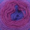 Cascade Whirligig -10 - Berries 886904057124 | Yarn at Michigan Fine Yarns