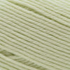 Cascade Yarns 220 Superwash Merino -56 - Seafoam Green | Yarn at Michigan Fine Yarns