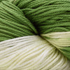 Cascade Yarns Noble Cotton Tie-Dyed -702 - Lime Zest 886904072097 | Yarn at Michigan Fine Yarns