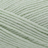 Cascade Yarns Sarasota -240 - Celadon | Yarn at Michigan Fine Yarns