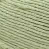Cascade Yarns Sarasota Worsted -201 - Baby Lime 886904070666 | Yarn at Michigan Fine Yarns