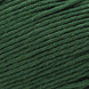 Cascade Yarns Sarasota Worsted -205 - Dark Green 886904070680 | Yarn at Michigan Fine Yarns