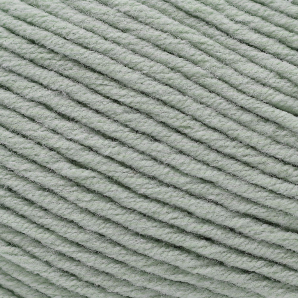 Cascade Yarns Sarasota Worsted -240 - Celadon 886904070949 | Yarn at Michigan Fine Yarns