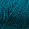 Ella Rae Cozy Soft Chunky Solids -841275113701 | Yarn at Michigan Fine Yarns