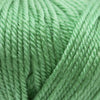 Ella Rae Cozy Soft Chunky Solids -843189091106 | Yarn at Michigan Fine Yarns