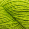 HiKoo Simplicity -040 - Green Apple 12154922 | Yarn at Michigan Fine Yarns