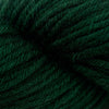 HiKoo Simplicity -050 - Forestry 15235114 | Yarn at Michigan Fine Yarns