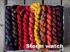 Koigu Koigu KPPPM Pencil Box Sets -Storm Watch | Yarn at Michigan Fine Yarns