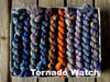 Koigu Koigu KPPPM Pencil Box Sets -Tornado Watch | Yarn at Michigan Fine Yarns