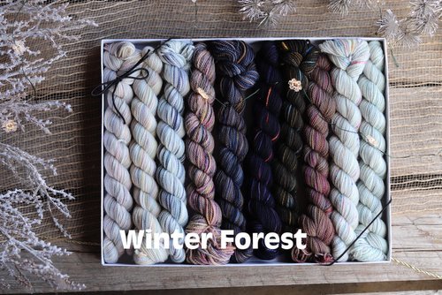 Koigu Koigu KPPPM Pencil Box Sets -Winter Forest 20329002 | Yarn at Michigan Fine Yarns
