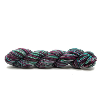 Koigu KPPPM (800s) -P801 55814442 | Yarn at Michigan Fine Yarns
