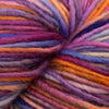Koigu Origins - Cheers -807 57408810 | Yarn at Michigan Fine Yarns