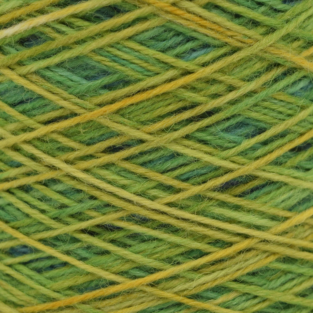 Laines Du Nord Watercolor Sock -100 - Brown/Blue/Green/Yellow | Yarn at Michigan Fine Yarns
