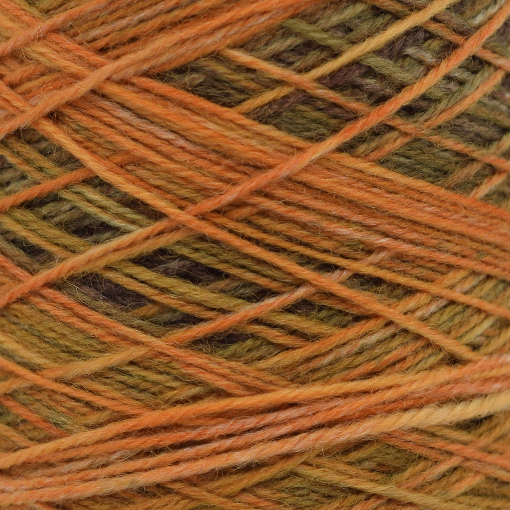 Laines Du Nord Watercolor Sock -103 - Orange/Umber/Taupe | Yarn at Michigan Fine Yarns