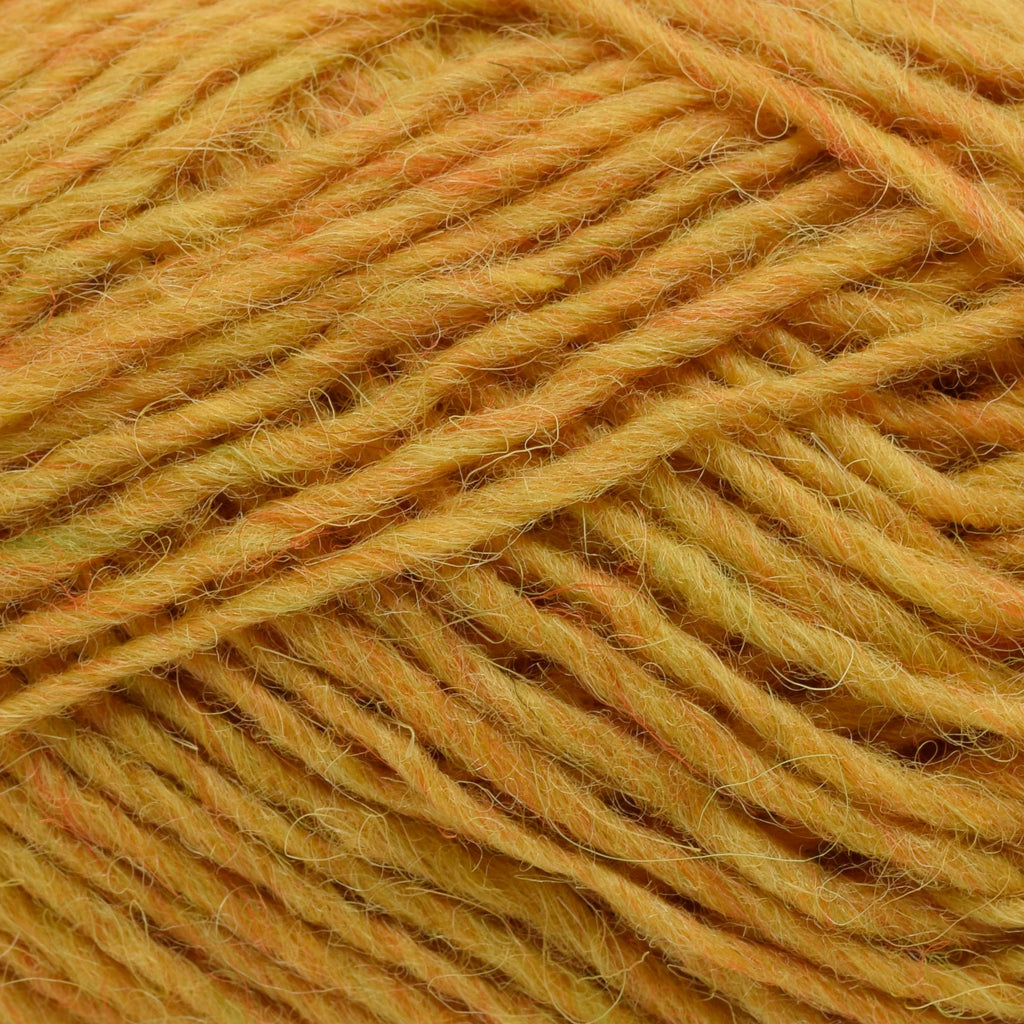 Lopi Lopi Léttlopi -1703 - Mimosa 5690866317036 | Yarn at Michigan Fine Yarns