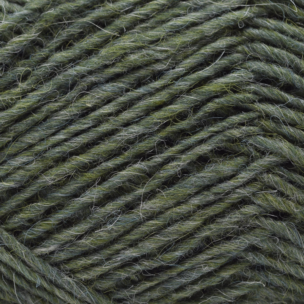 Lopi Lopi Léttlopi -1706 - Lyme Grass | Yarn at Michigan Fine Yarns