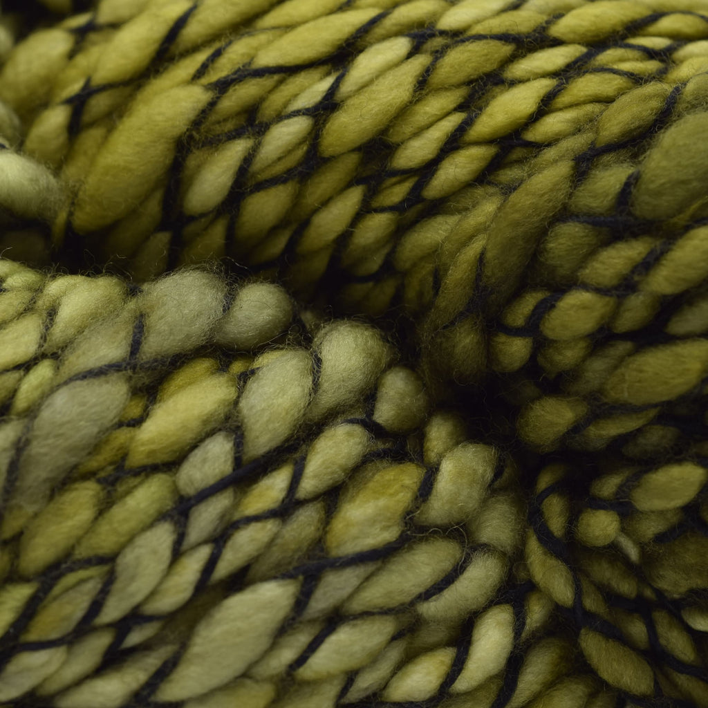 Malabrigo Caracol -37 - Lettuce | Yarn at Michigan Fine Yarns