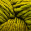 Malabrigo Rasta -37 - Lettuce 69929002 | Yarn at Michigan Fine Yarns