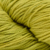 Malabrigo Verano -913 - Lime | Yarn at Michigan Fine Yarns