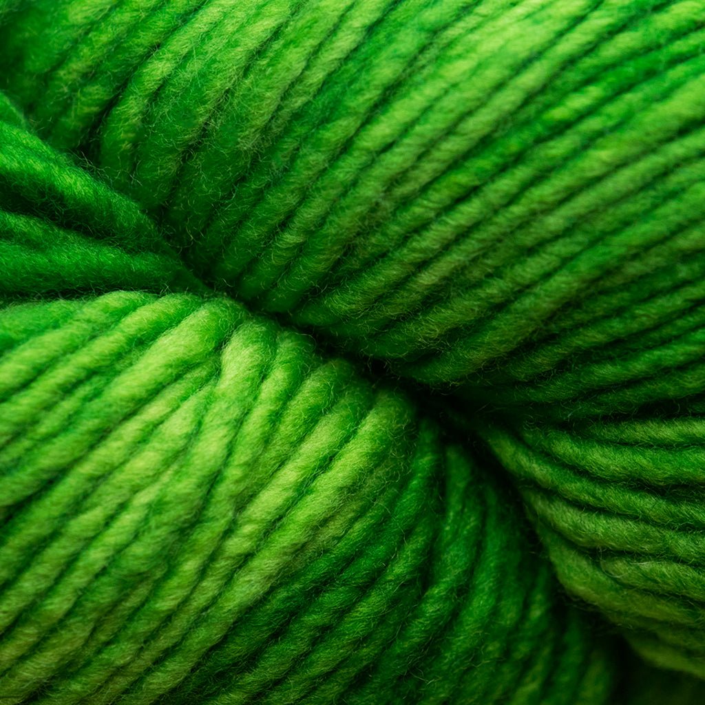 Malabrigo Worsted -4 - Sapphire Green 72845354 | Yarn at Michigan Fine Yarns