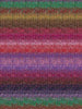 Noro Silk Garden Sock -S349 - Awara 24550698 | Yarn at Michigan Fine Yarns