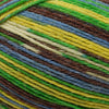 OnLine Supersocke 4-Ply Samba Color -1817 | Yarn at Michigan Fine Yarns