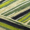 OnLine Supersocke 6-Ply Mambo Color -1828 4014366155195 | Yarn at Michigan Fine Yarns