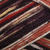 OnLine Supersocke 6-Ply Mambo Color -1831 4014366155225 | Yarn at Michigan Fine Yarns