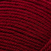 Plymouth Yarns Encore -843273001523 | Yarn at Michigan Fine Yarns