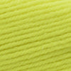 Plymouth Yarns Encore -843273035832 | Yarn at Michigan Fine Yarns