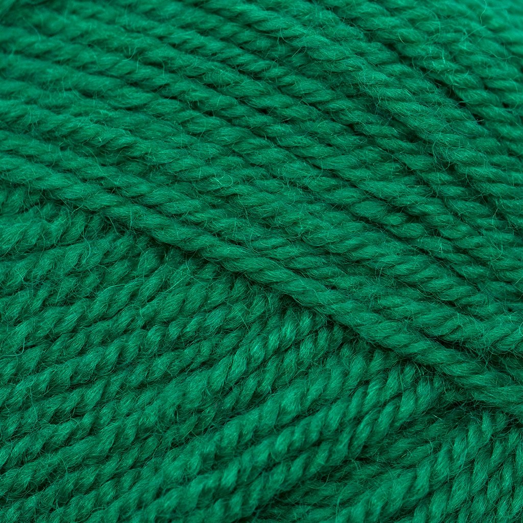 Plymouth Yarn Encore Worsted - Teal-A-Delphia (9852)